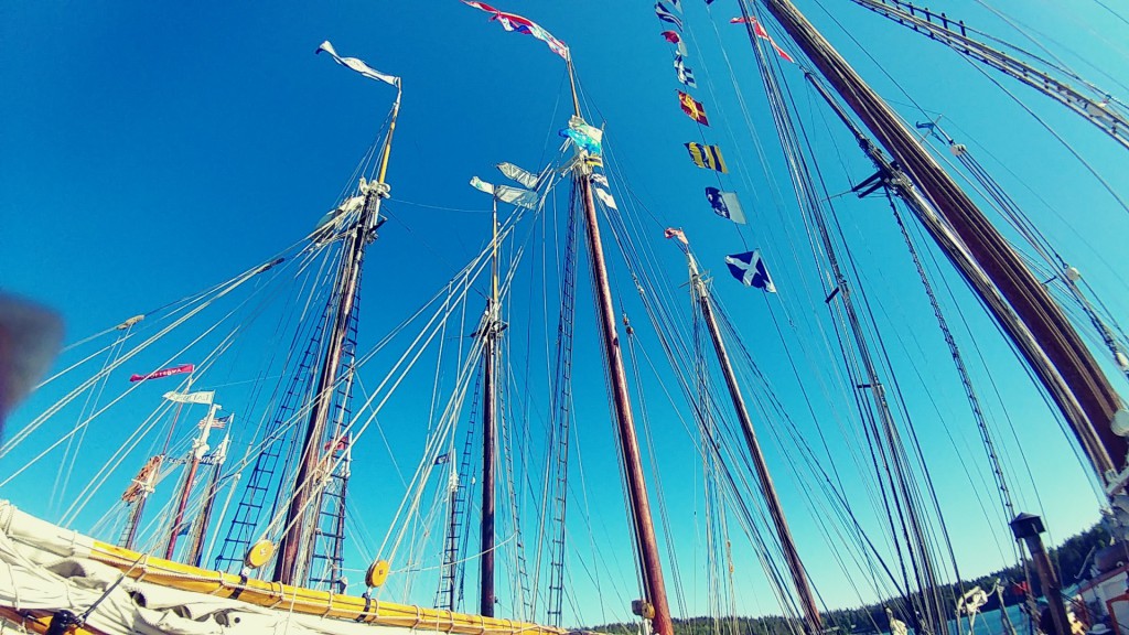A view of the boats masts during the annual Gam gathering.
