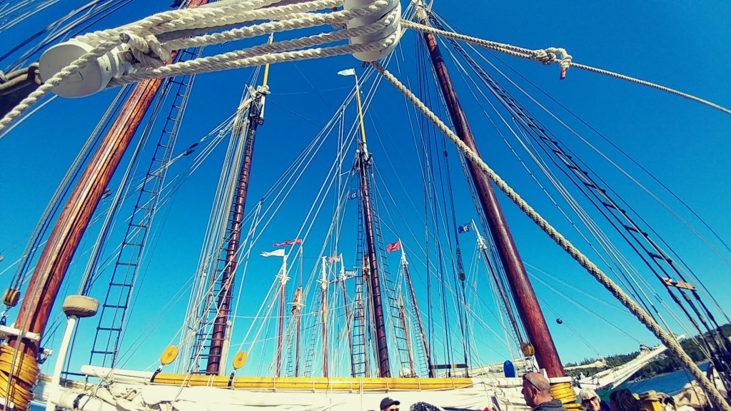 A view of the rigging from windjammers gathered at the annual Gam hosted by Maine Windjammer Association