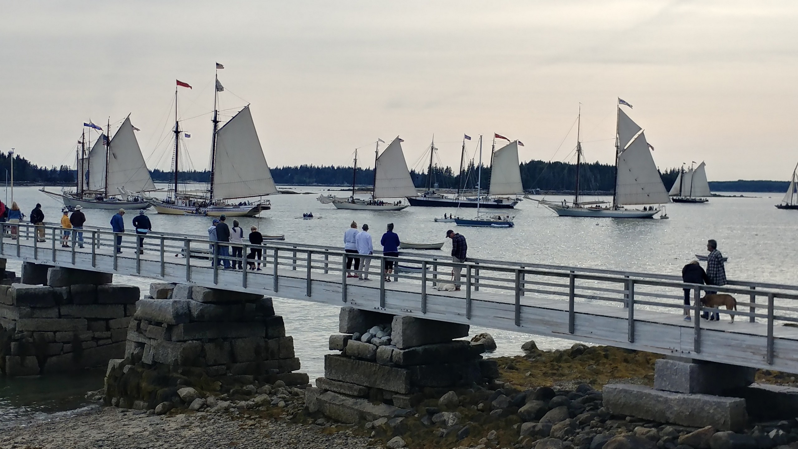 Photo of windjammers gathering at WoodenBoat School. 