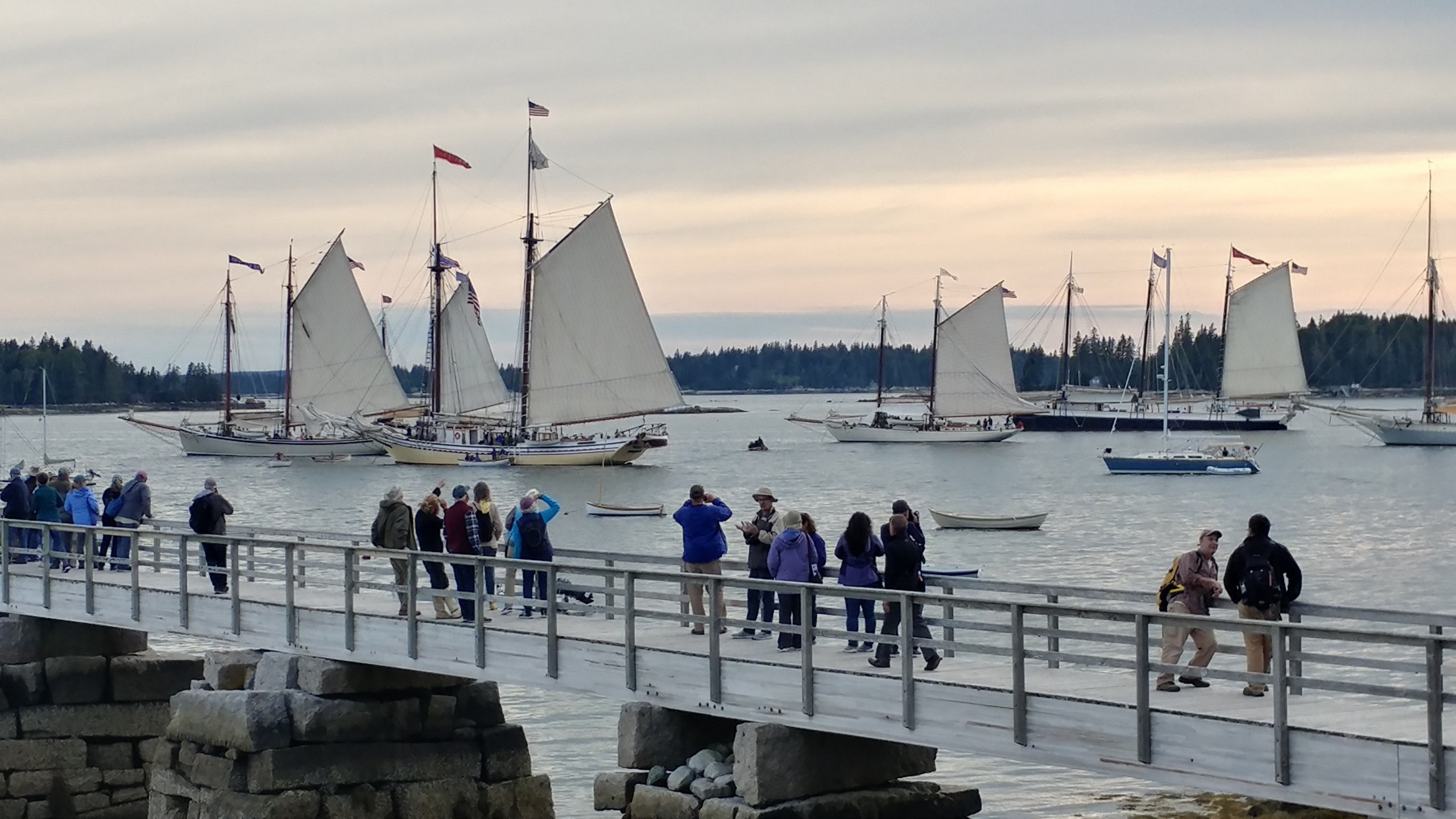 Sunset over windjammers gathered at WoodenBoat Sail-In. People watch from the dock. 