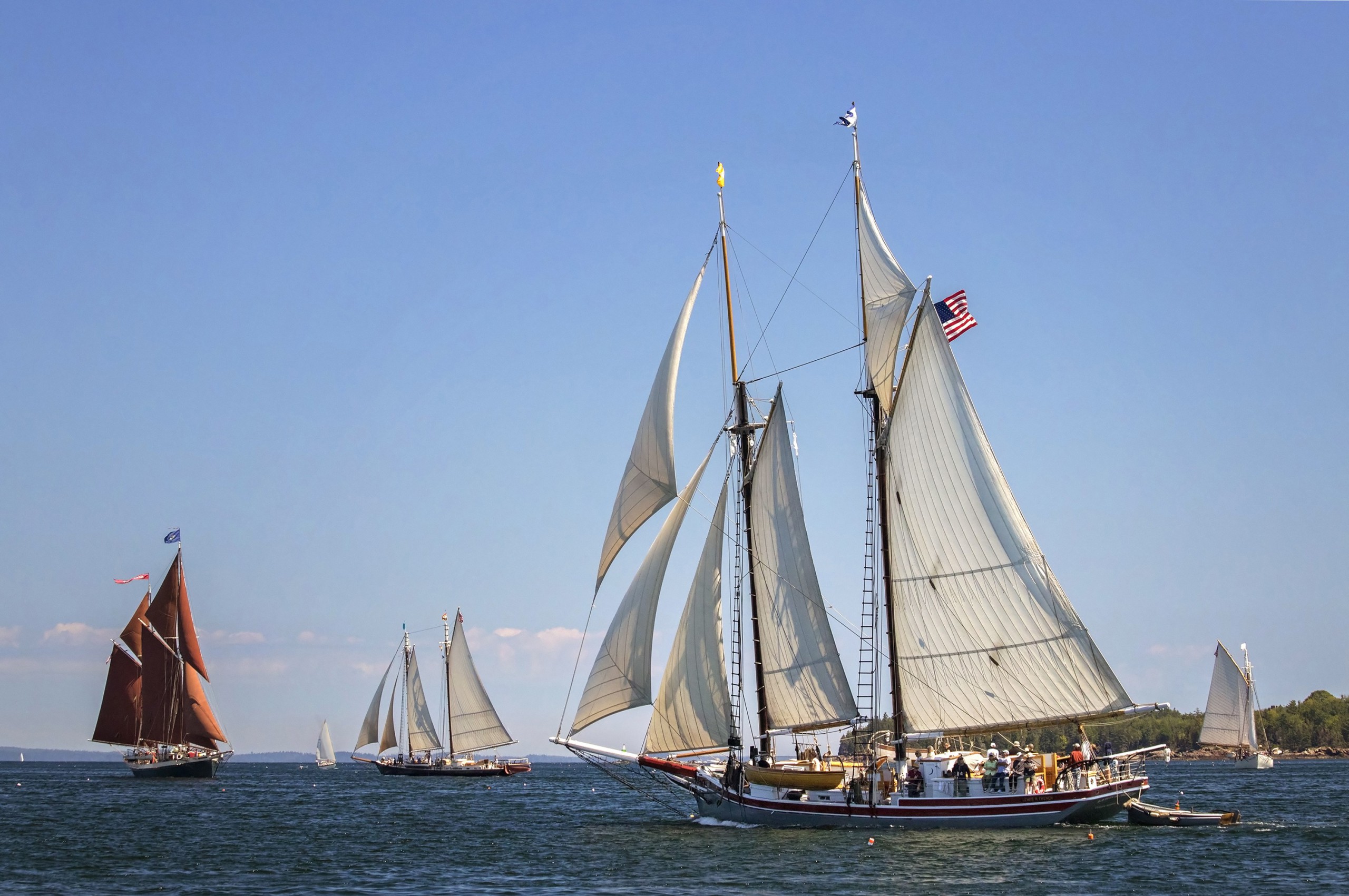 2018 Photo Contest Winner: 1st Place Tracy Sheppard Parade of Sail, Fred's Favorites #3
