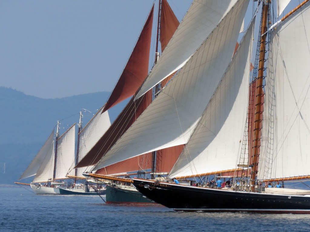 Boats gather at the start line of the Great Schooner Race