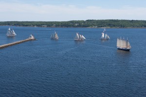 Maine Windjammer Fleet sailing into Rockland Harbor